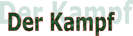 Der Kampf